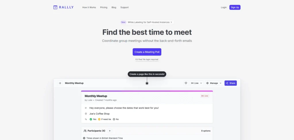 Rallly lifetime access